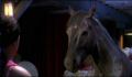 dr dolittle 3-avi_836.jpg